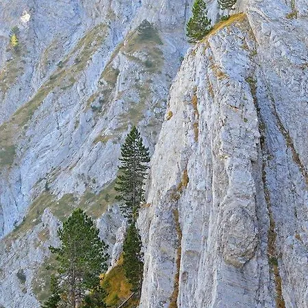 Orfeas 아파트 리토코론